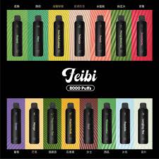 Feibi 菲比一次性 8000 口｜8ml 大油倉＋Mesh 網狀棉芯＋Type-C 快充｜口味整理